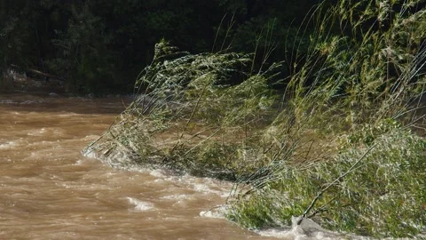 Broken trees in rushing water Stock Footage 211321616