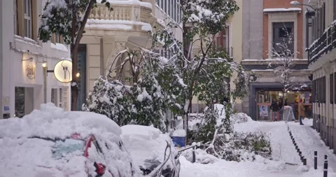 Broken trees in side road during blizzard - Madrid Vidéo 146441958