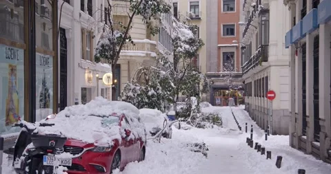 Broken trees in side road during blizzard - Madrid Video stock 146442065