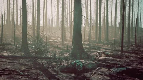 Broken trees in woods after bombing or artillery fire Stock Illustration