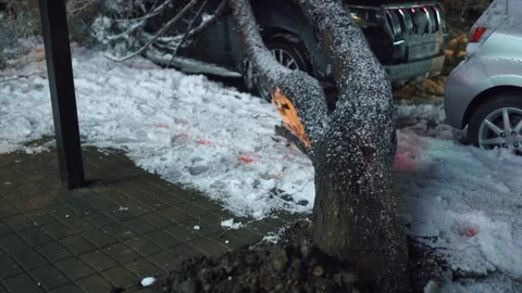 Broken trunk crushing parked SUV in deep snow, showcasing harsh winter mishap Stock Footage 303522415