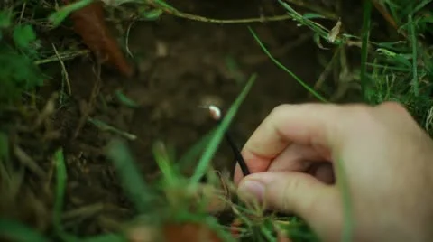 Broken tv cable dig digging Stock Footage 12420793