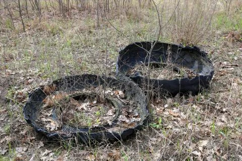 Broken tyres in forest Stock Photos