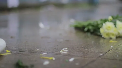 Broken Vase Stock Footage 23425865