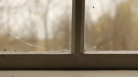 A Broken Village House Window Stock Footage 234786097