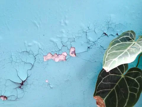 Broken Wall 2 Stock Photos