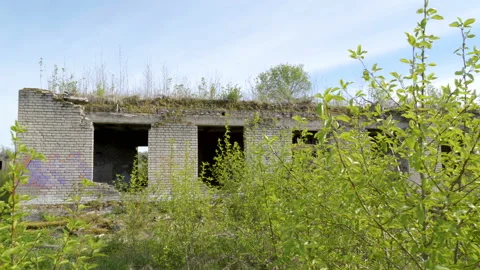 The broken wall of the brick house on the yard Stock Footage 136334478
