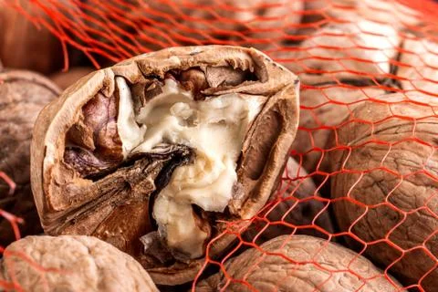 Broken walnut close-up on a walnut net Stock Photos