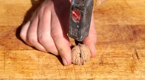 Broken walnut with hammer Stock Footage 35712994
