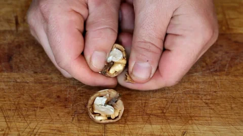 Broken walnut with hammer Stock Footage 35713204