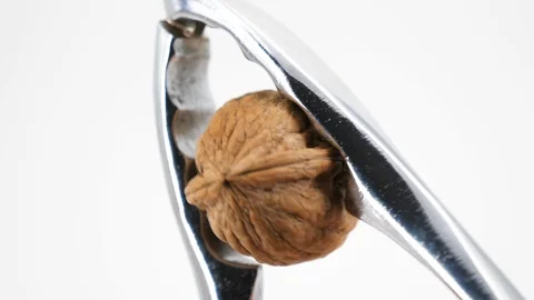Broken walnut with nutcracker on a white background Stock Footage 85956535