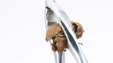 Broken walnut with nutcracker on a white background Stock-Footage 85956779