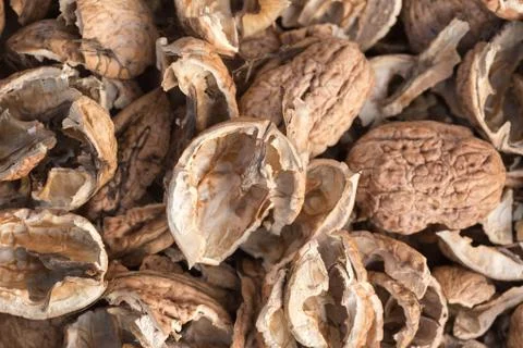 Broken walnut shells. Pieces of nutshells. Nutshell texture. Foto stock