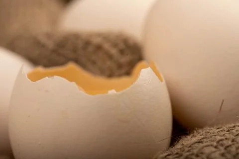 A broken white chicken egg and several whole eggs on a homespun fabric with a Stock Photos