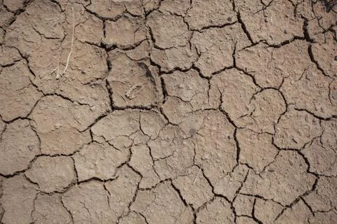 Broken white clay soil texture with cracks on surface Stock Photos