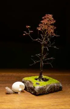 Broken white egg fallen from brown dry tree Stock Photos