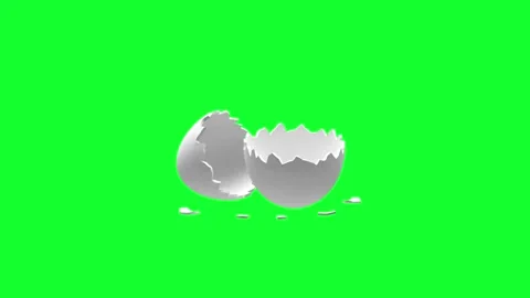 Broken white eggshell halves on green screen in 3D animation. Stock Footage 336567000