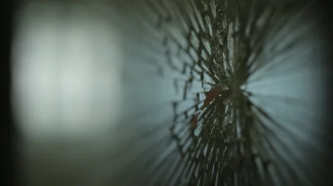 BROKEN WINDOW Stock Footage 28121279