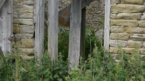 Broken window Stock Footage 313528981