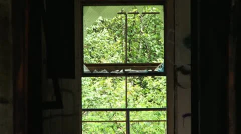 Broken Window Hallway and Open Flooded Room Pullback 스톡 동영상 11952399
