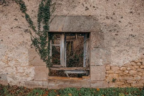 Broken Window with Ivy on Rustic Wall Stock Photos