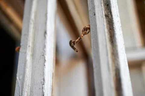 Broken window in old wall of abandoned house Stock Photos