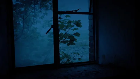 Broken Window In With Tree Outside In The Dark Stock Footage 343322414