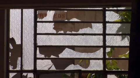 Broken windows in abandoned house, Cyprus buffer zone DMZ Stock Footage 61513957