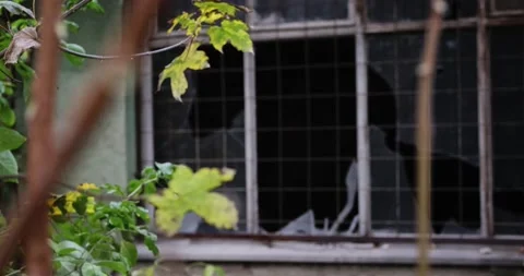Broken windows on an eastern European old industrial building Stock Footage 165224999