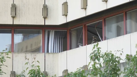 Broken windows Stock Footage 82395804