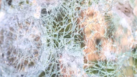 Broken windows from shelling. War. Destroyed property. Stock Footage 241109798