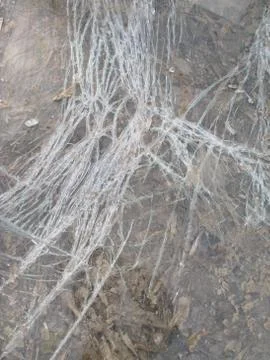Broken windshield on the ground Stock Photos