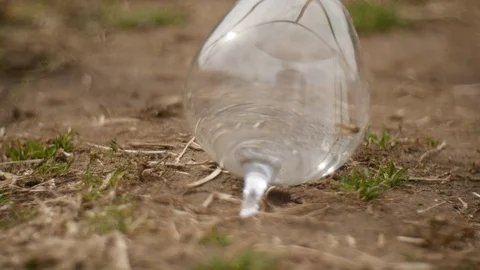 Broken Wine Glass Stock Footage 85673382