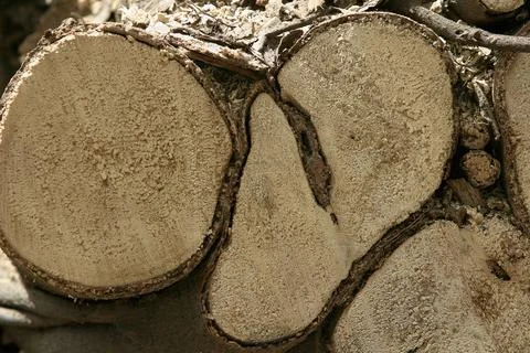 Broken wood Stock Photos