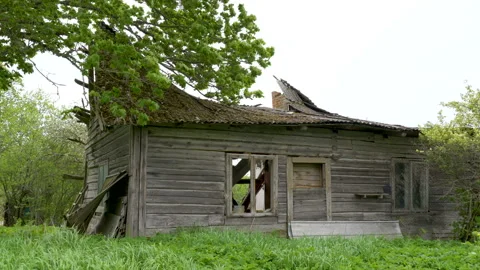 The broken wooden hut in the middle of the forest Stock Footage 137359953