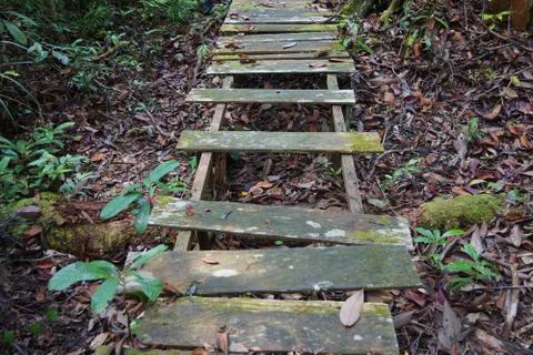 Broken Wooden Path Foto stock