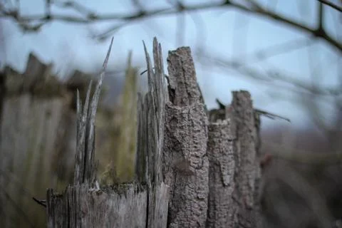 Broken Woods Stock Photos