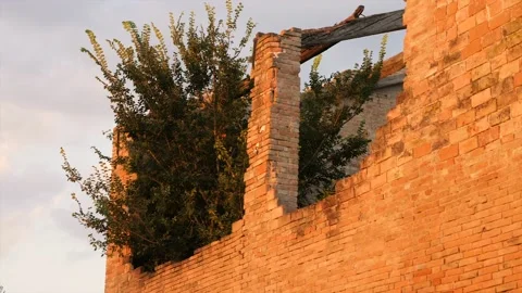 BrokenWall Stockbeeldmateriaal 173700711