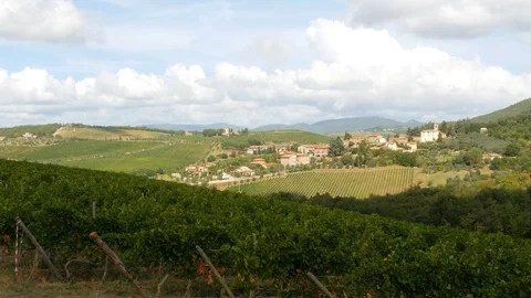 Brolio Panoramic Video stock 116955202