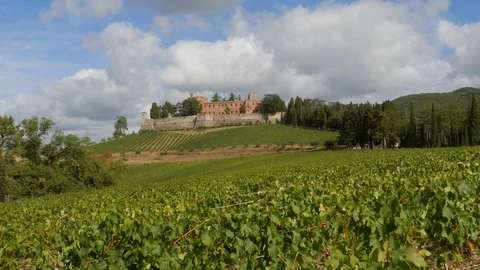 Brolio timelapse Stock Footage 116955195