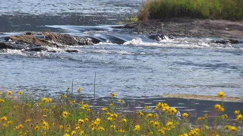 BRoll River Stock Stock Footage 55571809