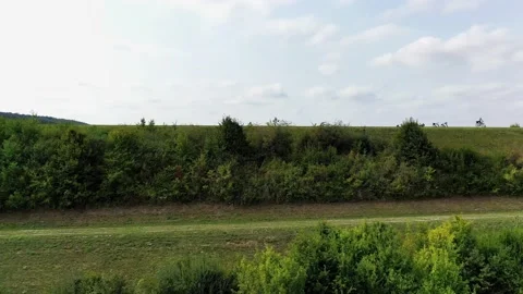 Brombachsee Stock Footage 143779670