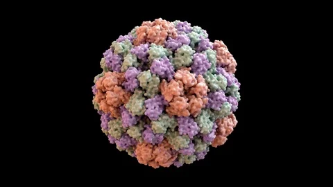 Brome Mosaic Virus Capsid Structure based on PDB : 3J7L, 360 degree rotation loo Stock Footage 106167847