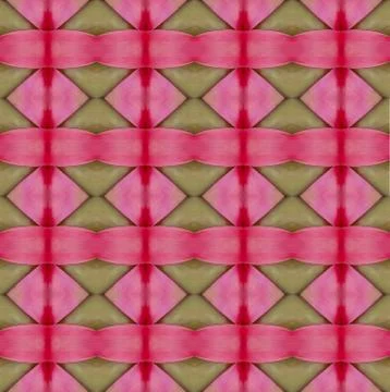 Bromeliad leaf seamless pattern background Stock Photos