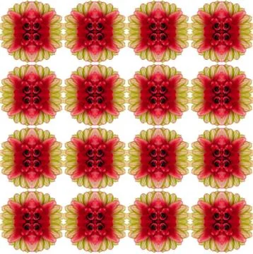 Bromeliad seamless pattern background Stock Photos