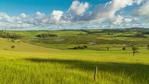 Bromfield Swamp,4k,timelapse 動画素材 229998401
