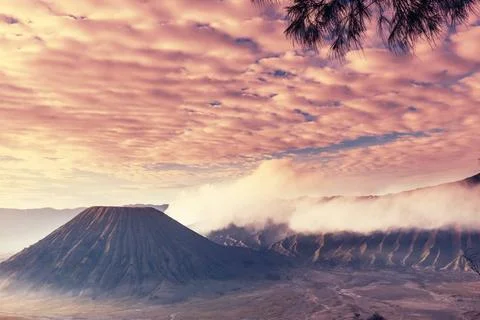 Bromo Bromo Volcano at Java, Indonesia Copyright: xZoonar.com/GalynaxAndru... Foto stock