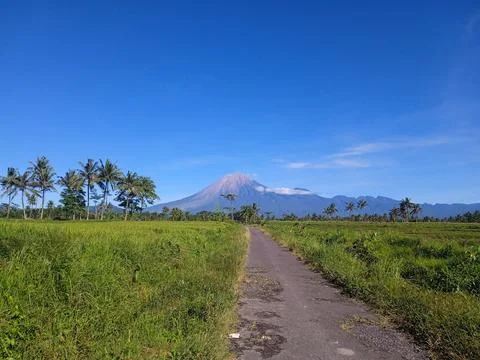 BROMO, THE HIGHEST MOUNTAIN IN JAVA Stock Photos