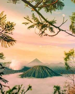 Bromo landscape Stock Photos