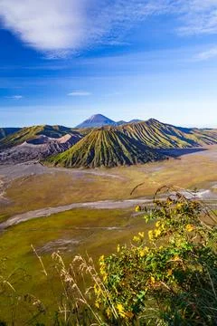The Bromo, or Mount Bromo, is an active somma volcano Foto stock